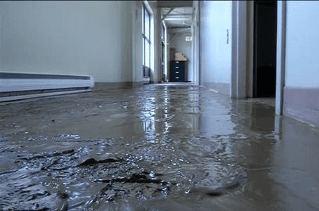 Sewage Water Flooding Cleanups Streeterville