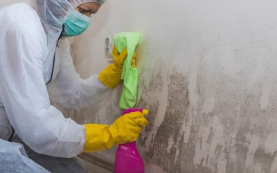 How to Choose the Right Basement Cleaning Service for Your Needs