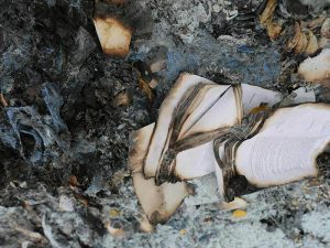 The Importance of Professional Assessment in Fire Damage Restoration