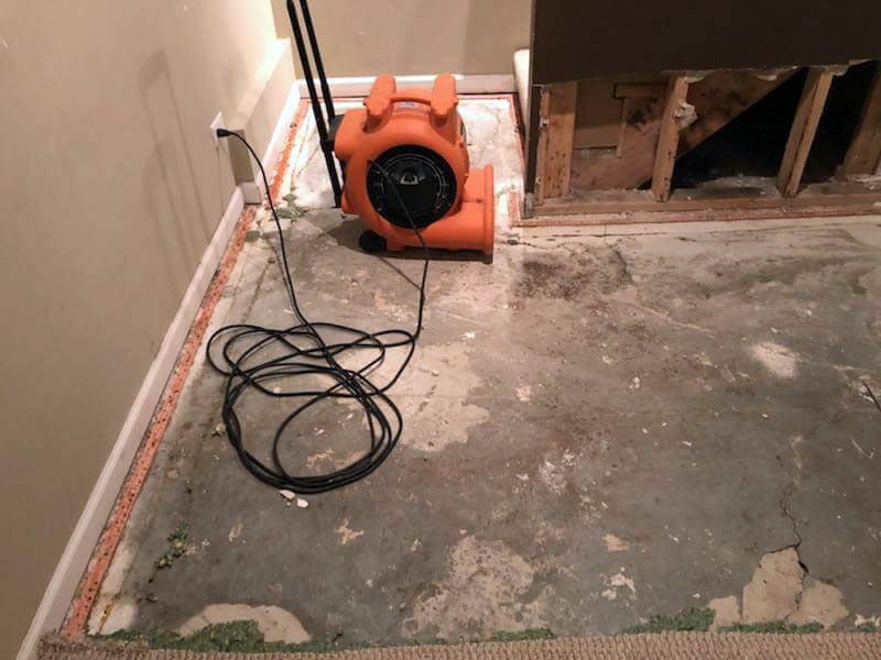 extensive water damage cleanup