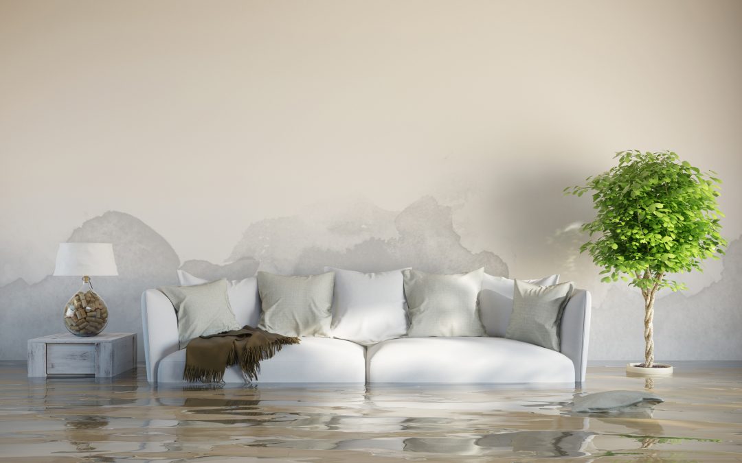 Everything You Need to Know About Flooded Basement Cleanup