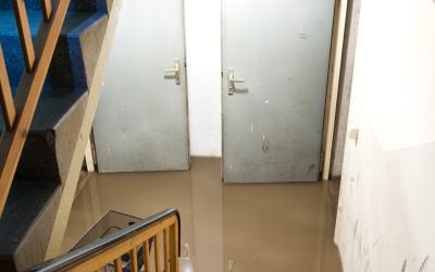 Choosing the Right Water Damage Restoration Company: Factors to Consider