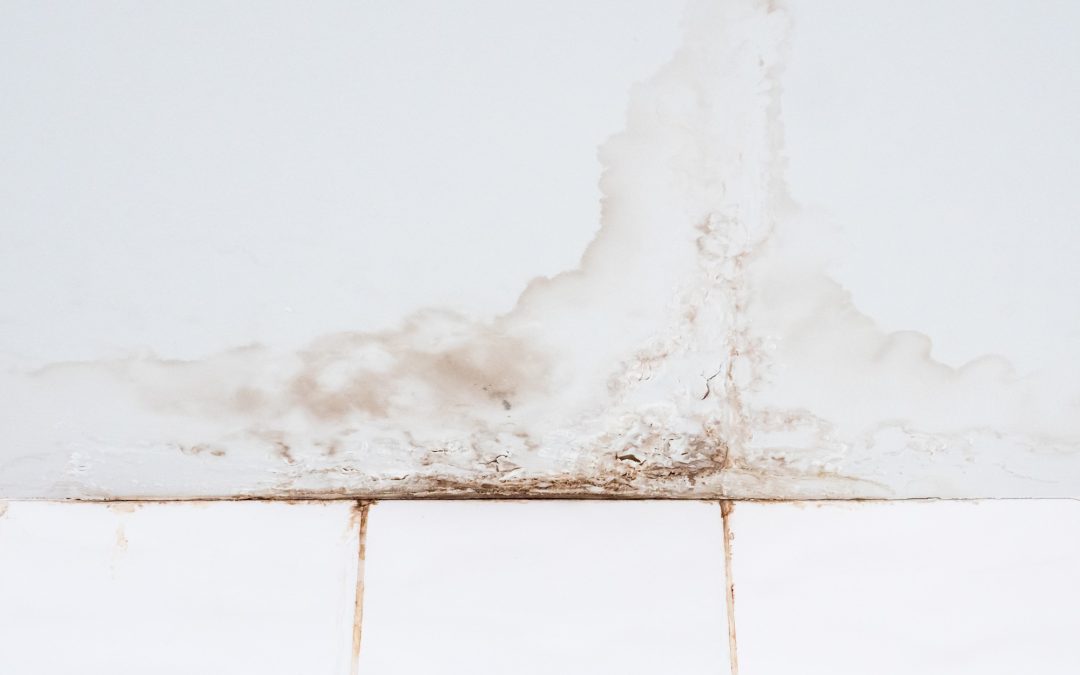 Drywall Water Damage