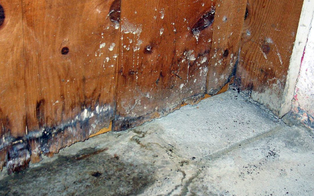 9 Common Causes of Water Damage in Homes