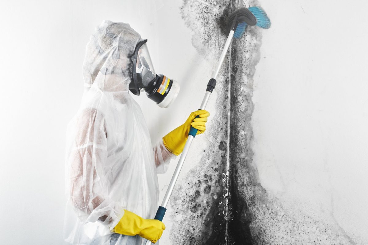 Does Mold Grow in the Cold? The CleanUP Guys