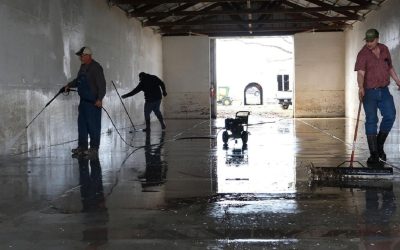 Confronting the Aftermath: Expert Mold Removal and Sanitation for Flooded Basements